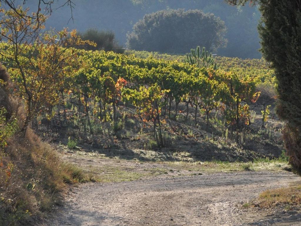 فندق La Tour-dʼAiguesفي  Domaine Saint Victor المظهر الخارجي الصورة